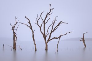 Canyon Lake