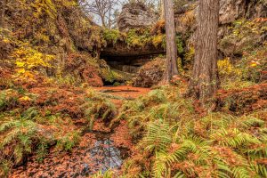 Westcave Preserve Grotto