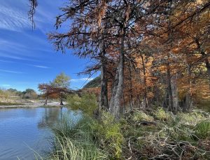An Autumn Afternoon at Garner