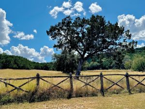 Hill Country Fence
