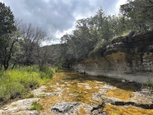 Along The Creek