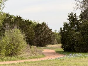 Hill Country View