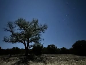 Old Camp Verde Farm Night Sky