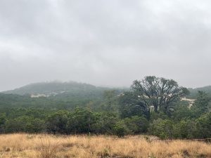 Old Camp Verde Farm
