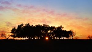 Barn Sunset