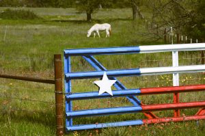 LONE STAR, TEXAS