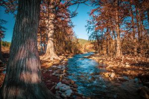 Camp Riverview 8