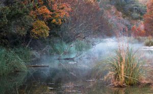 A pond along the trail in Lost Maples State Park