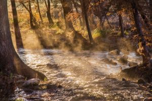 Early morning fog along the Guadalupe