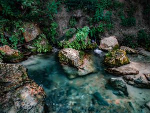 Springs located on Lady Birdy Lake