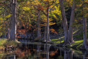 Fall colors viewed from the low pass bridge in Hunt
