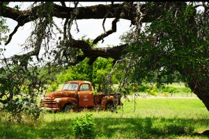 Relic Truck