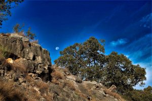 Canyon photo