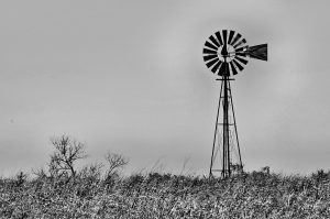 Just the Wind