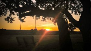 Relaxing Sunset Spot