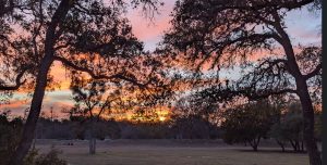 Sunset in Dripping