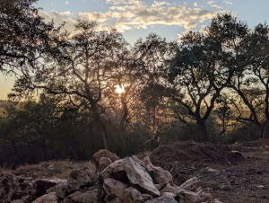 Hide and Seek Sun